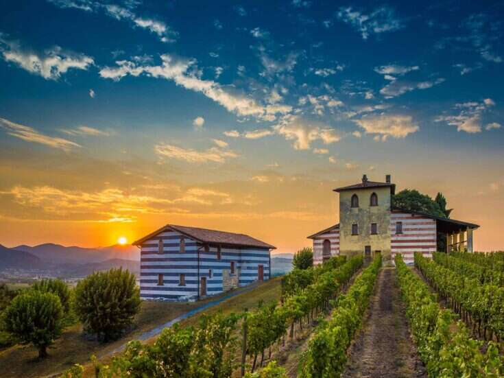 Guido Berlucchi is Winery of the Year 2022