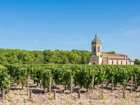 Bordeaux in the 21st century: 2015 vintage report