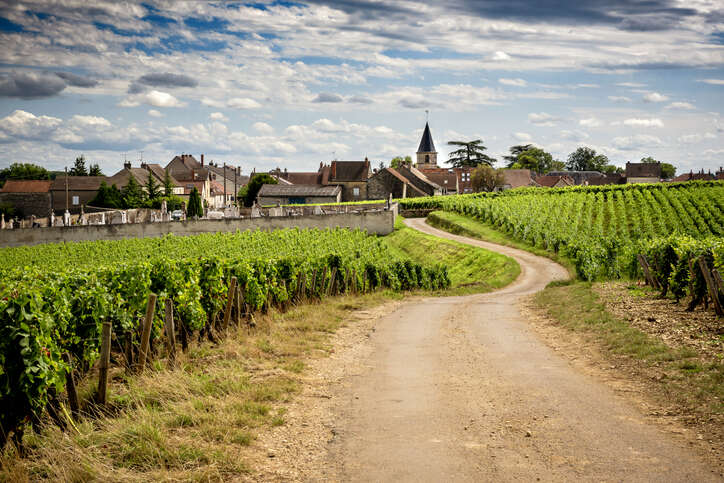 2020 Burgundy: Côte de Nuits tasting notes