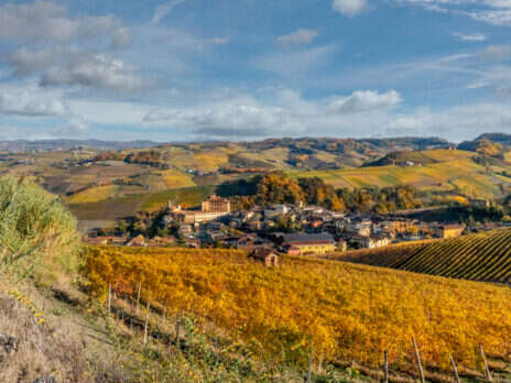 Barolo 2017: Weathering the storms