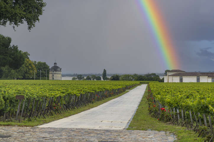 Bordeaux 2021 Left Bank Part I