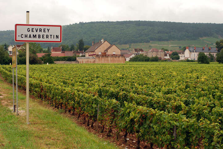 Côte de Nuits Gevrey Chambertin