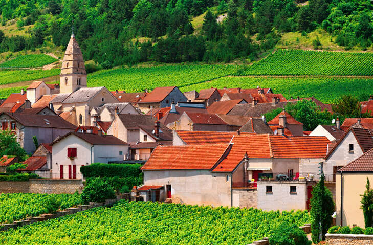 Côte de Beaune: Volnay village and vineyards.