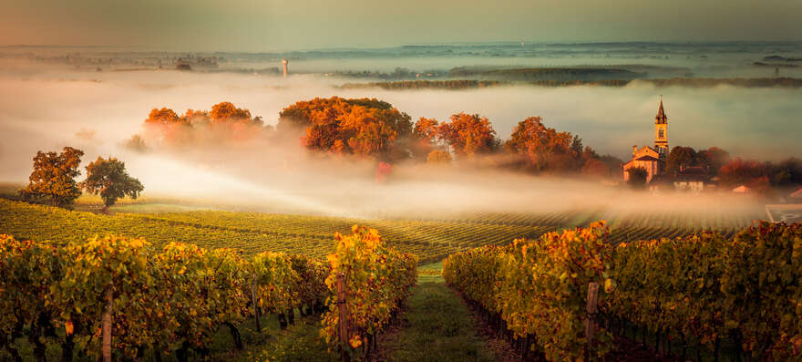 Bordeaux 2018 en primeur