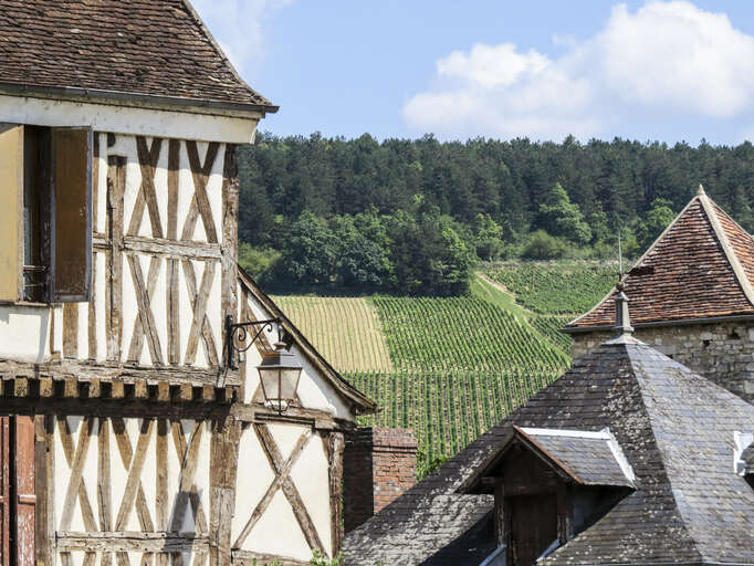 2020 Burgundy: Chablis tasting notes