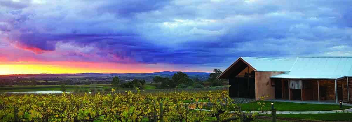 Grant Burge: The timeless story of a Barossa great