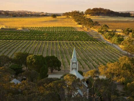 Henschke 2017 Shiraz: Impressive elegance in a cooler year