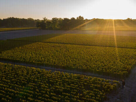 2019 Bordeaux: A new dawn for en primeur?