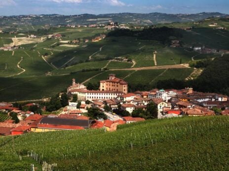 Barolo: A Love Story