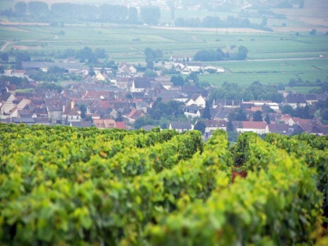 Domaine Hubert Lamy St-Aubin 1973–2011