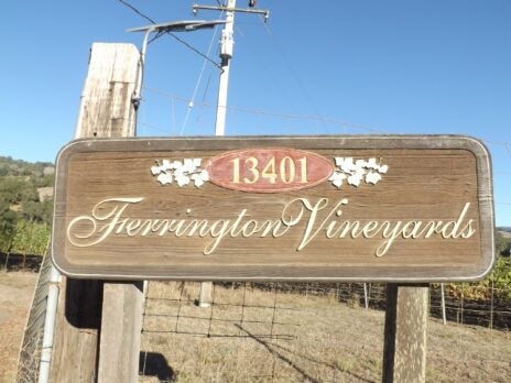 Ferrington Vineyard