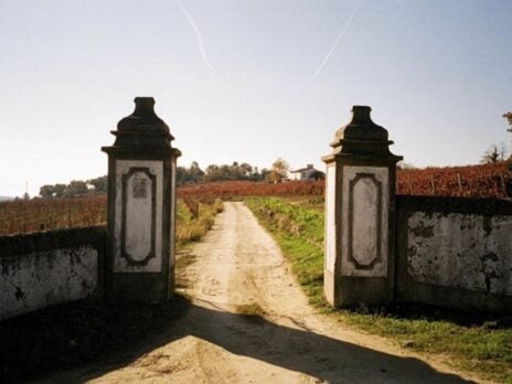 Living the dream</br> part one : </br>The Search for a vineyard