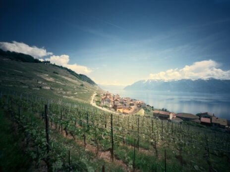 Chasselas Switzerland’s declaration of neutrality