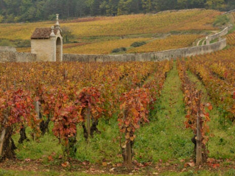 Michel Bettane: Our idea of terroir