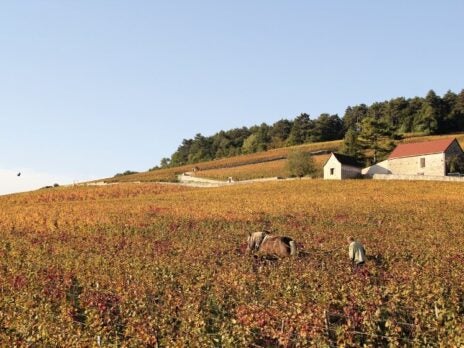 New book on biodynamics: More questions than answers?