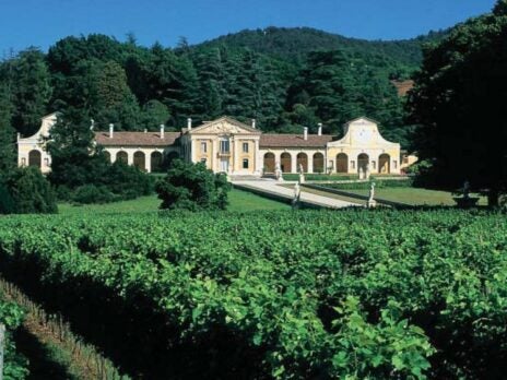 Palladio and Prosecco: Parallel Expressions of Bella Figura