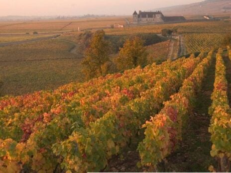 Grand Cru: The Great Wines of Burgundy