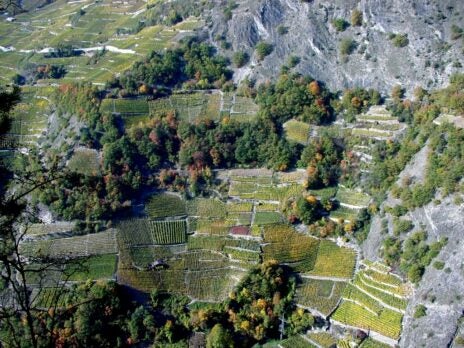 Les Vins du Valais