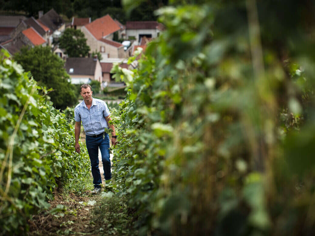 Champagne Moussé Fils