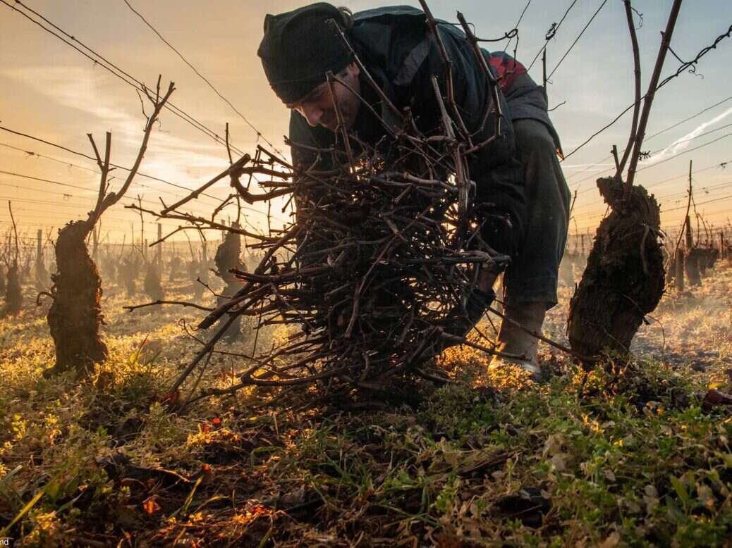 Errazuriz Wine Photographer of the Year Jon Wyand