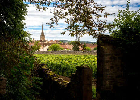 2022 Burgundy: Côte de Beaune tasting notes part II