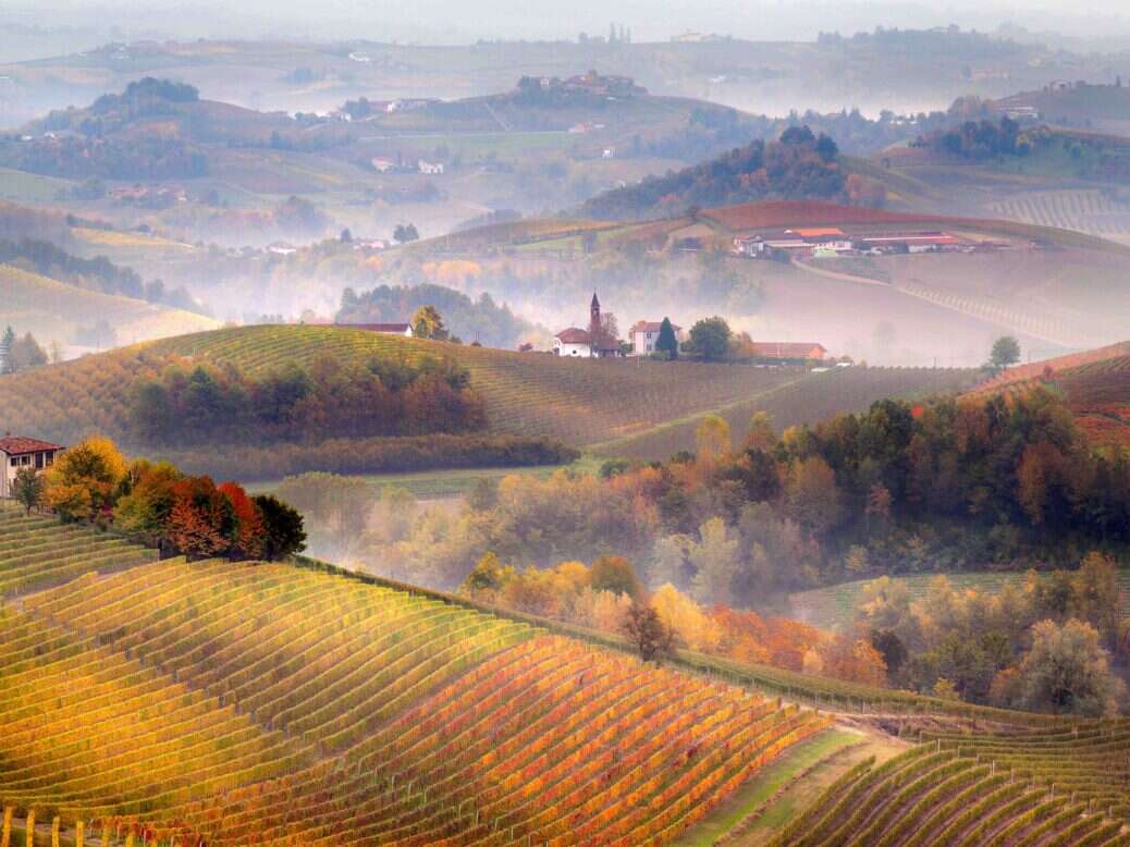 Barolo 2016