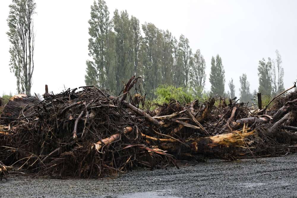 New Zealand wine storm damage Cyclone Gabrielle