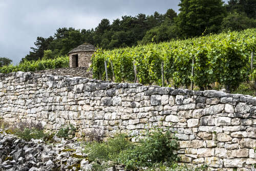 Côte de Nuits