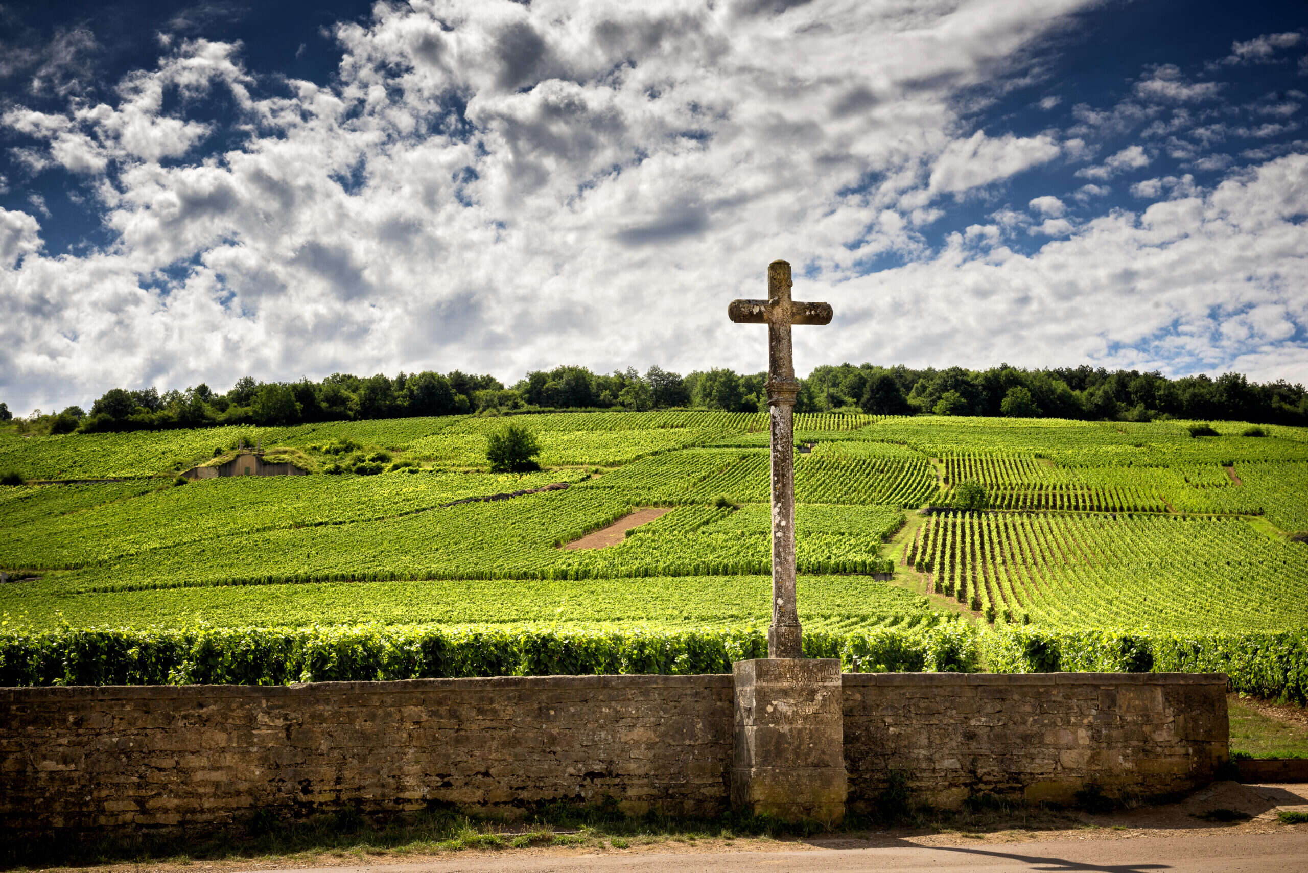 A year in tasting: Burgundy