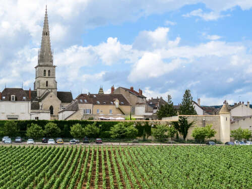 typicity Meursault