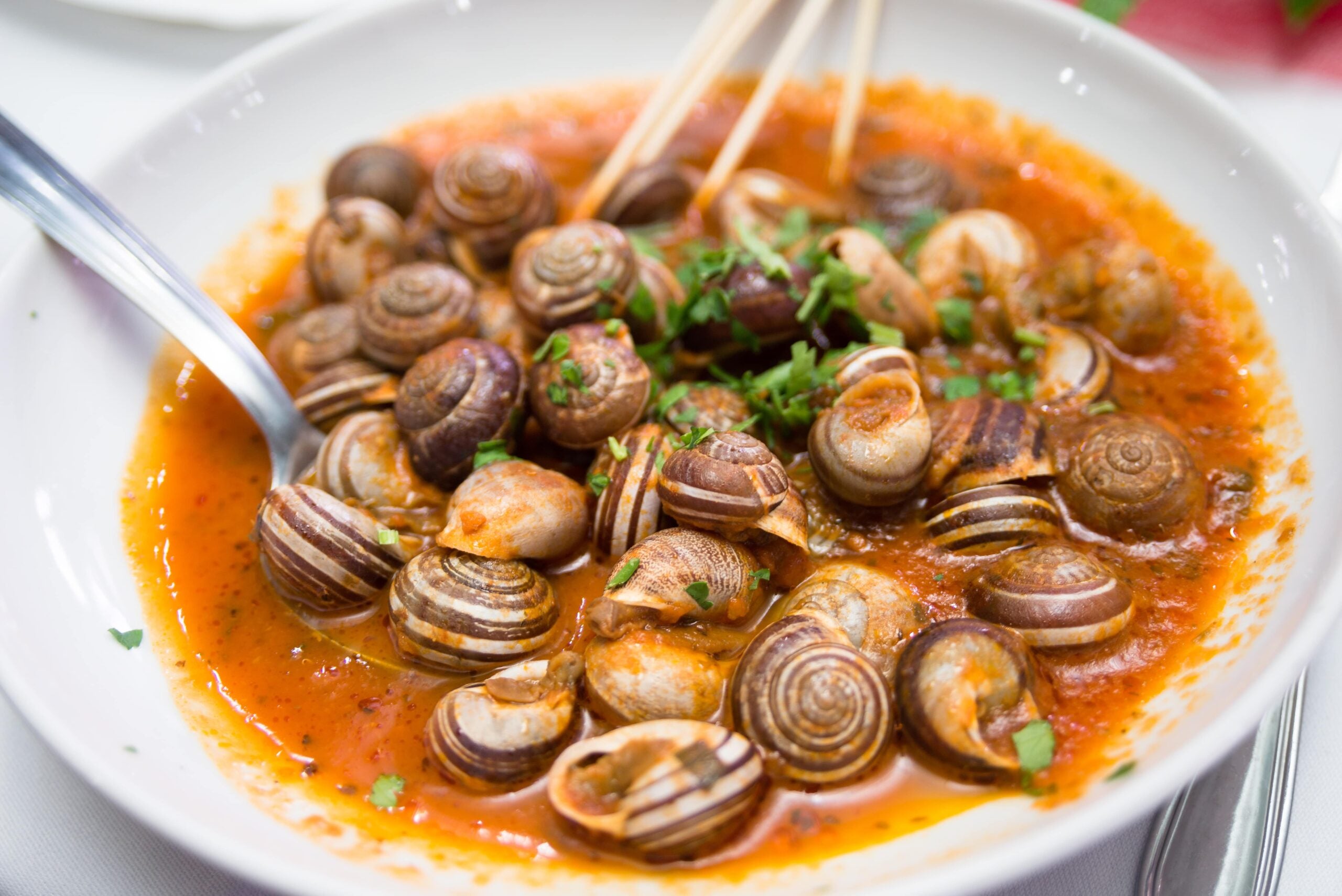 At the table: Snails a la catalana