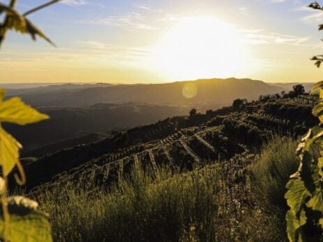 Innovation with altitude: Spain’s new generation of winemakers