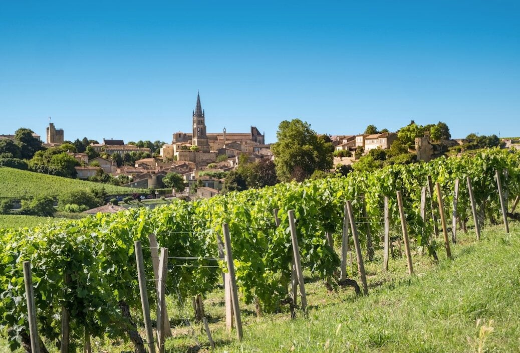 2020 Bordeaux Tastings Right Bank