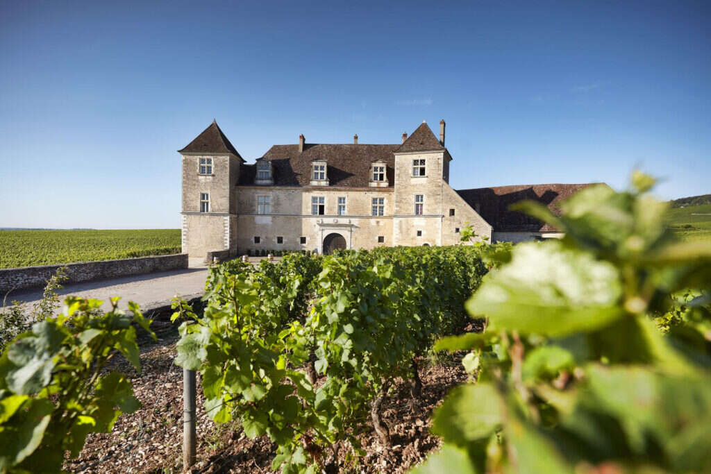 Clos de Vougeot