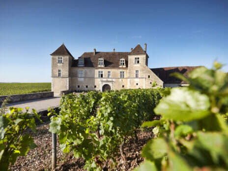 Clos de Vougeot: A good-cause cuvée