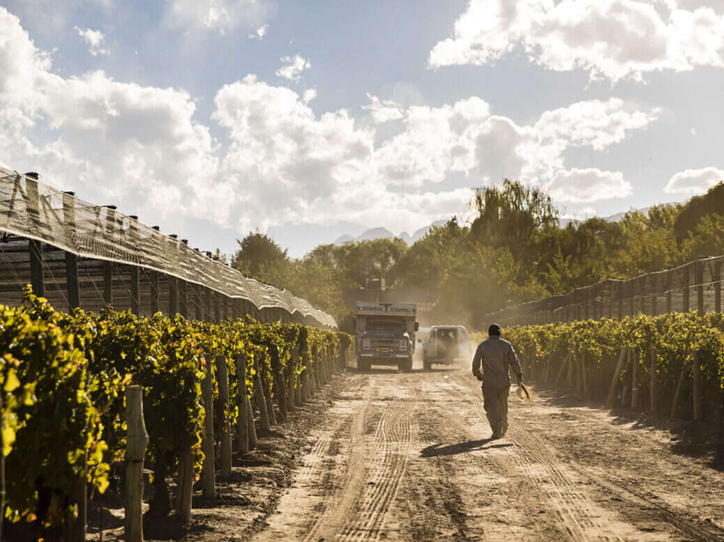 argentina malbec wine prices