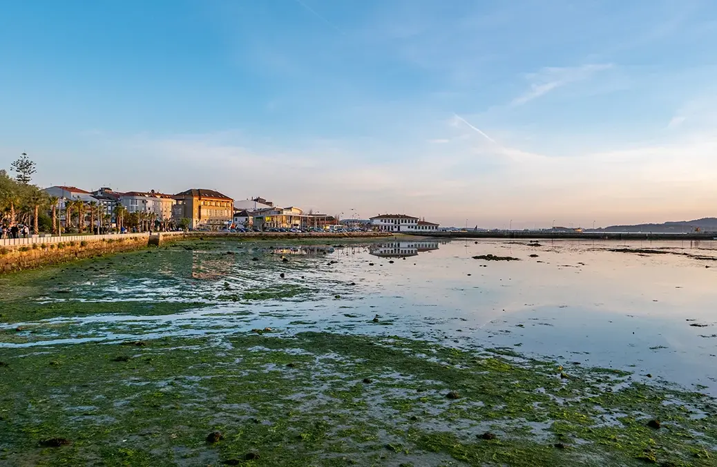 Rías Baixas Cambados