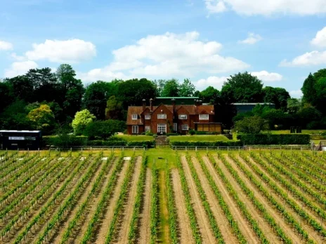 Hambledon Vineyard: Chalk show 