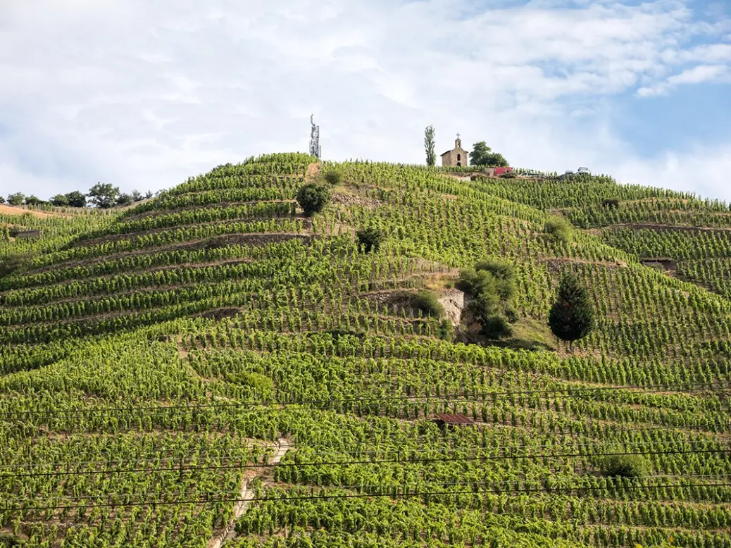 Michel Chapoutier vineyards in Hermitage, Rhône