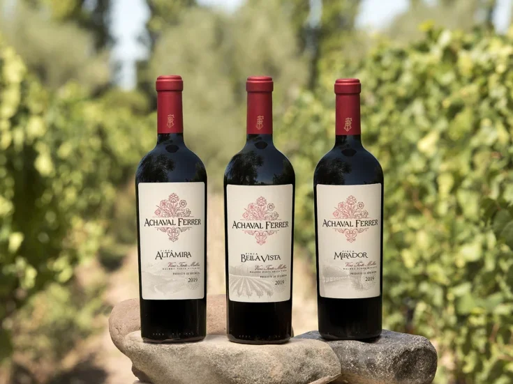 Achaval Ferrer launches 2019 vintage of its highly acclaimed trilogy of Malbecs