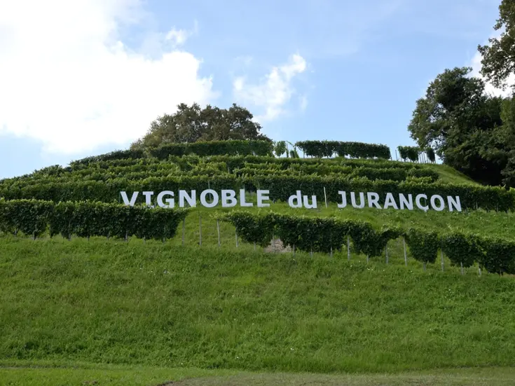 Jurançon vineyard in South West France.