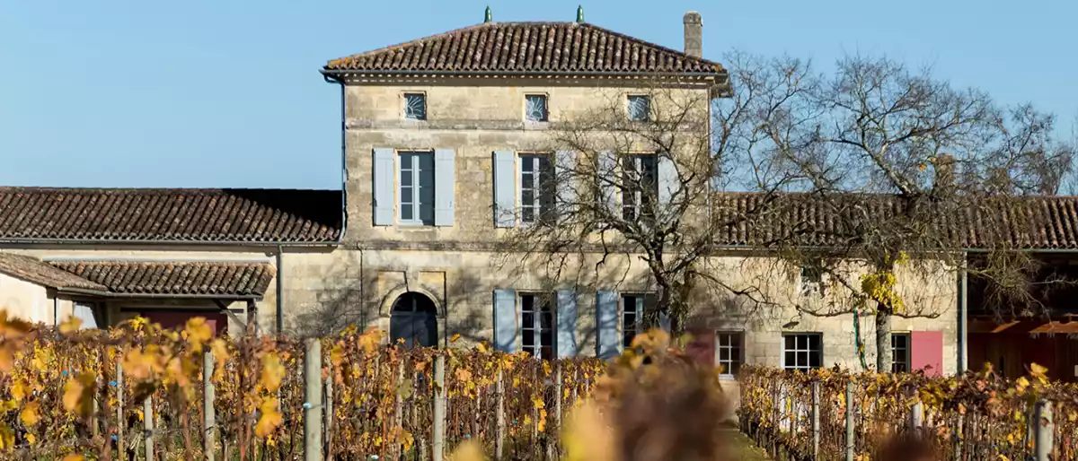 Bordeaux 2023 Field notes: Château Lafleur—La Balançoire