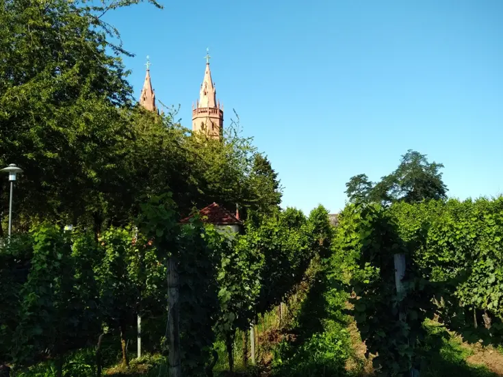 Liebfraumilch: A German icon comes full circle 