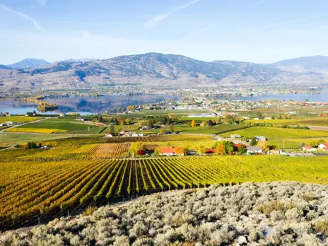 A Canadian terroir story part III: Southern Okanagan Valley