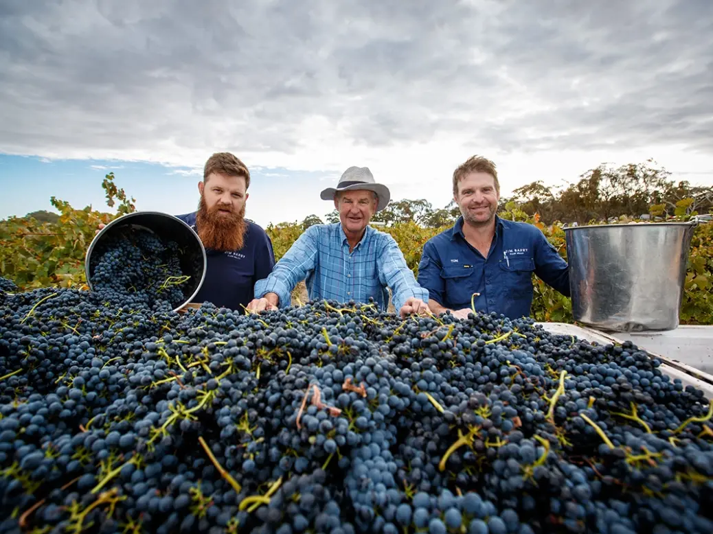 The team behind Jim Barry The Armagh Shiraz