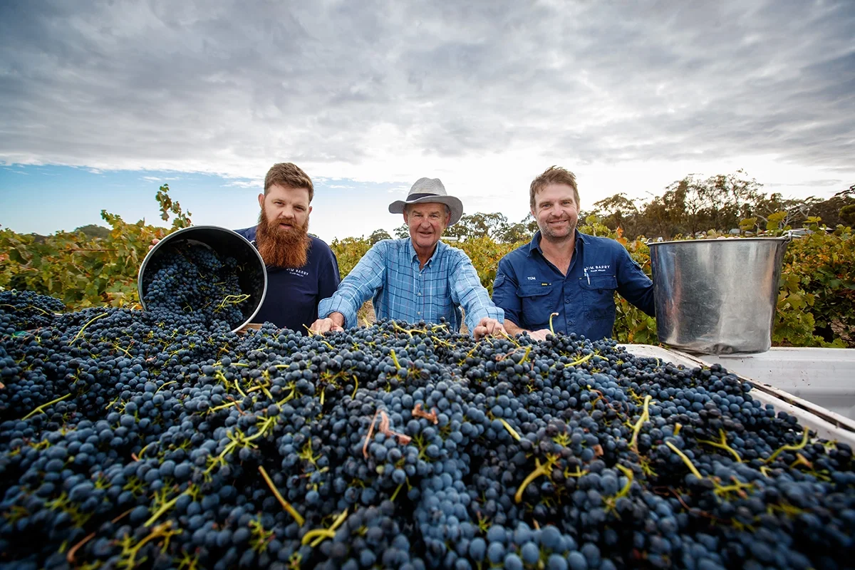 50 Years of Jim Barry The Armagh Shiraz: A very Australian grand vin