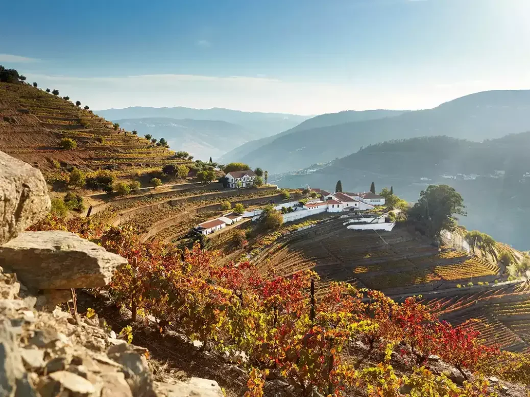 A view of Quinta do Noval.