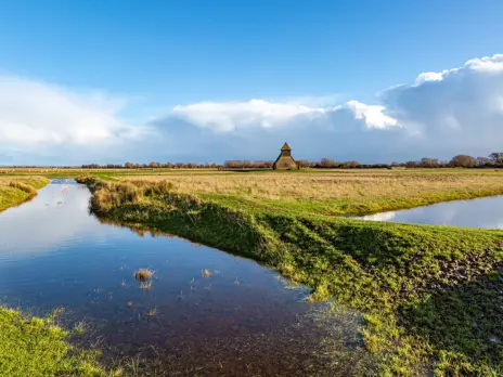 Gusbourne Estate: Putting down roots