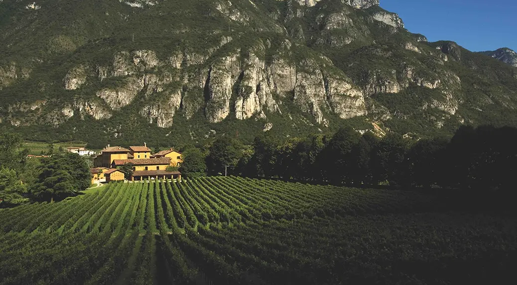 San Leonardo estate in Trentino