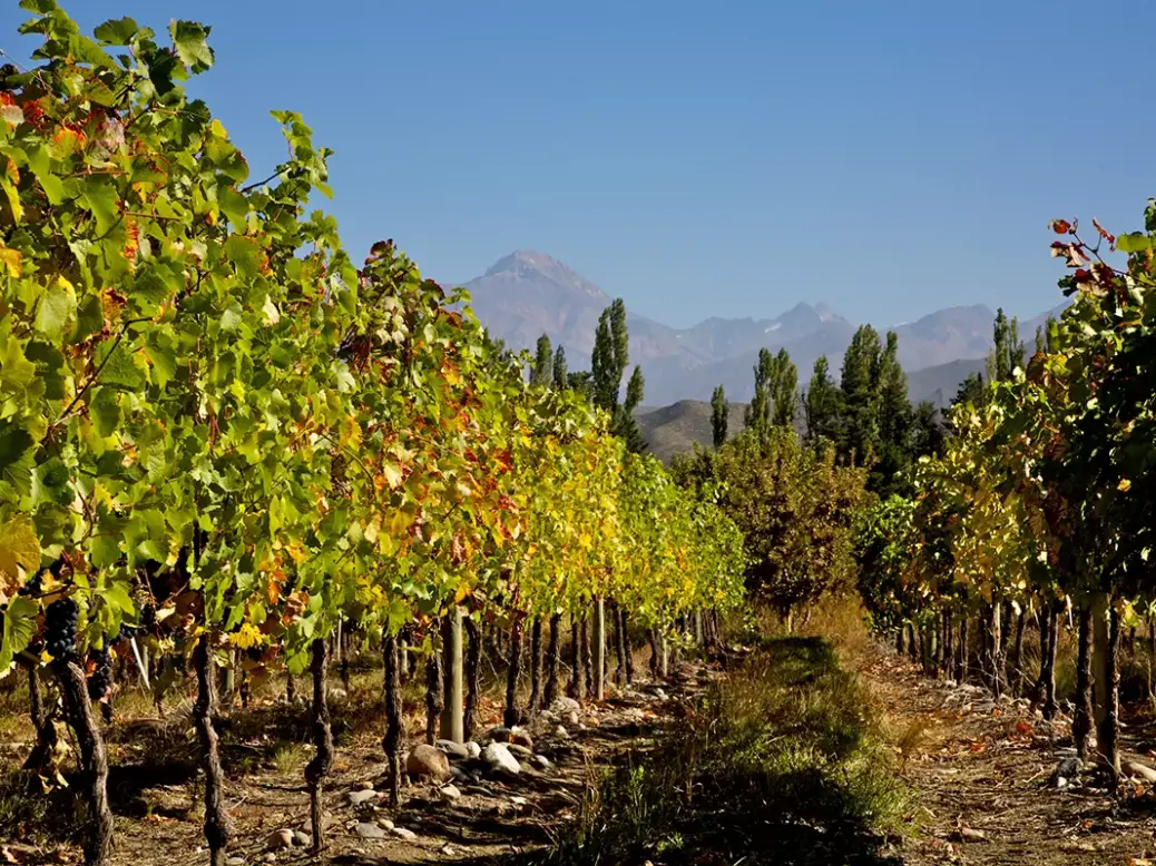 San Pablo Uco Valley